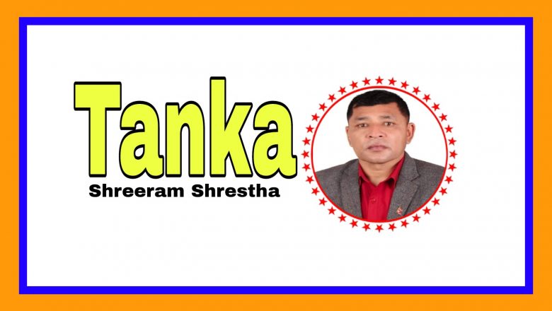 Tanka – Shreeram Shrestha,Mercury fish…✍️